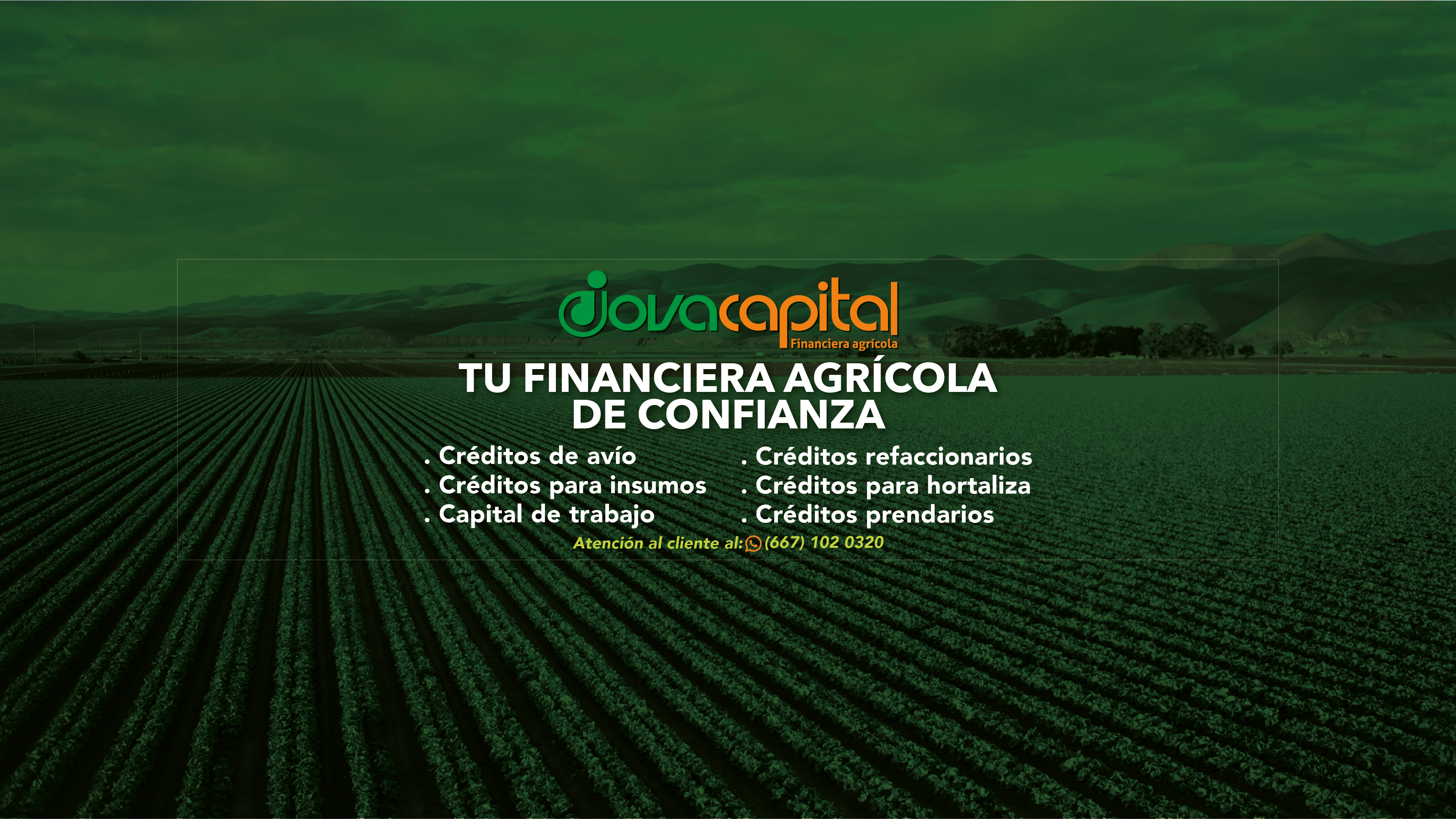 Viva Te Ayuda, Iap logo
